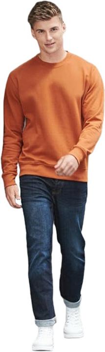 Produktbild Awdis Erwachsene Just Hoods Sweatshirt (XS)
