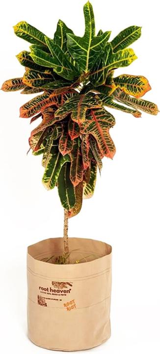 Actual product image Root Riot Root Heaven Pot 200L