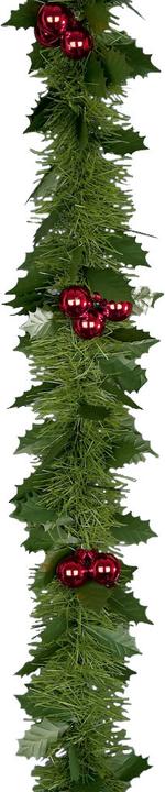 Produktbild Premier Stechpalme Und Beeren