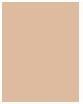 Image du produit Estée Lauder Pure Color Envy (Light Medium Matte)