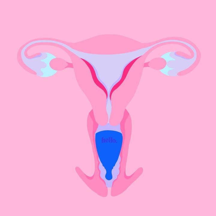 Produktbild Hello. High Cervix (S)