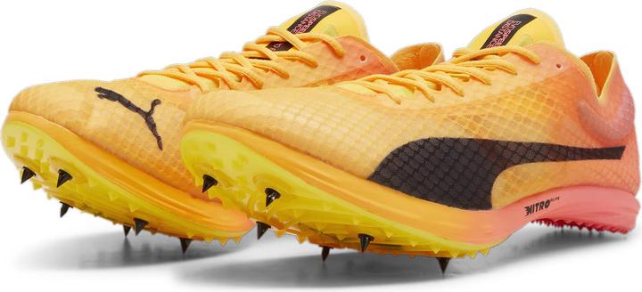 Produktbild Puma evoSPEED Distance Nitro Elite+ 4 (42.5)