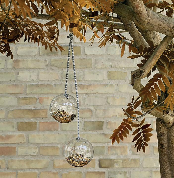 Actual product image Eva Solo Glass food balls (set of 2)