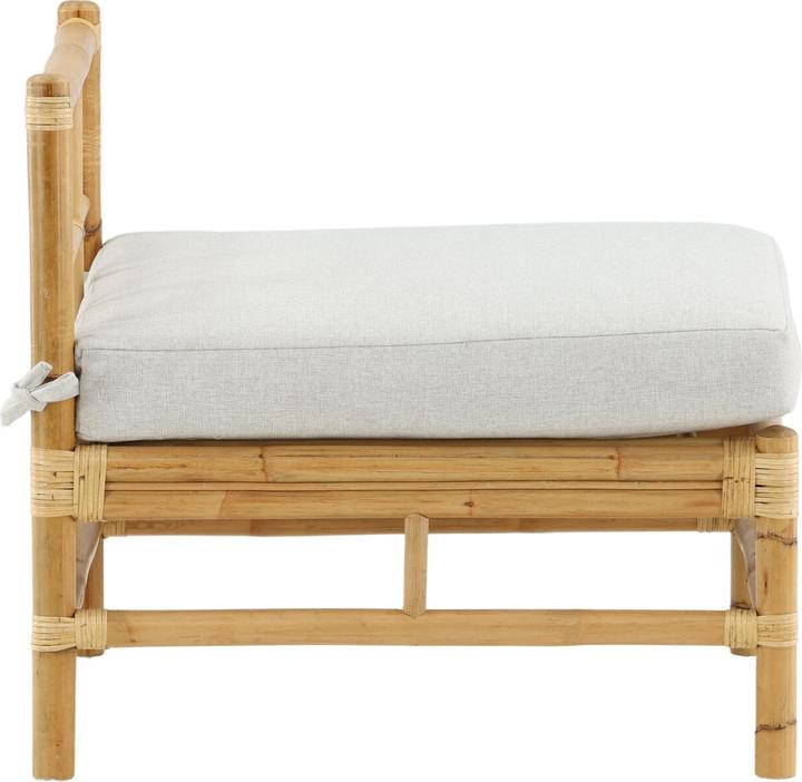 Produktbild Venture Home Cane