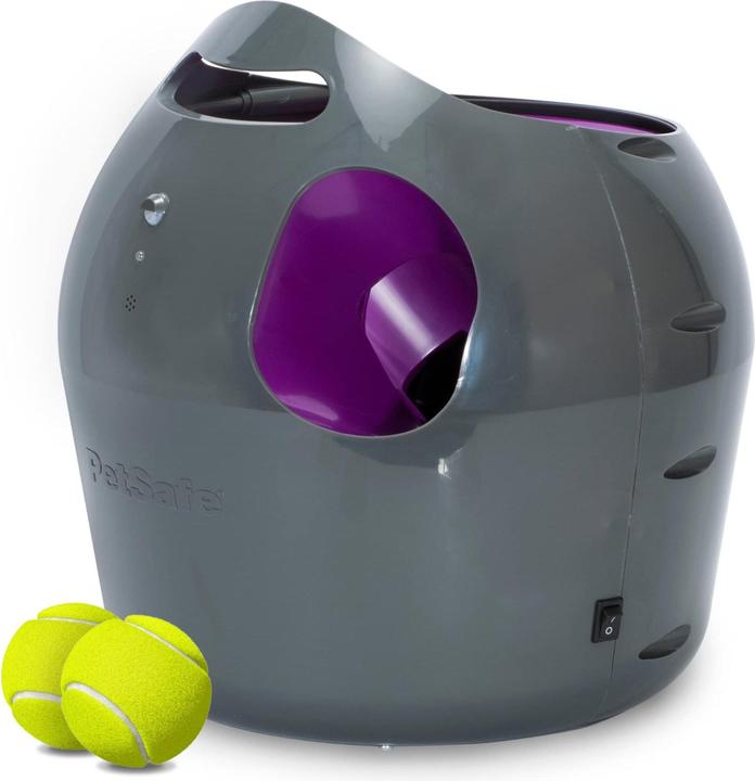 Jouets pour chien