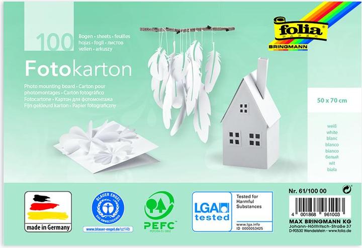 Immagine prodotto Folia Cartone fotografico 300g/m², 50x70cm (270 g/m², 100 x)
