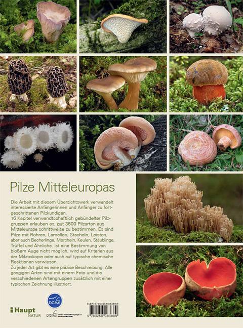 Actual product image Pilze Mitteleuropas (German, Gaby Keller, Rudolf Winkler, Margrith Montalta-Graf, 2024)
