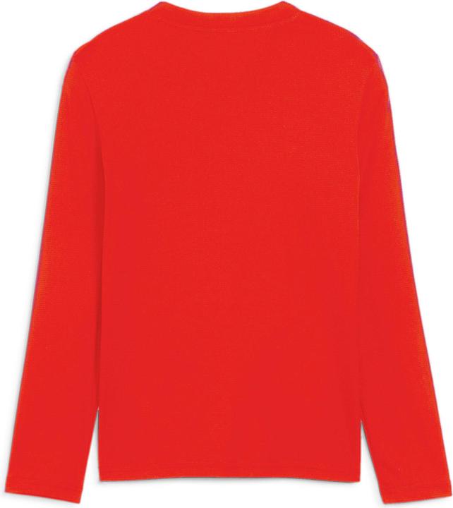 Actual product image Puma teamGOAL Baselayer Tee LS Jr. (140)