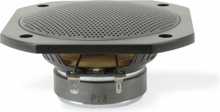 Actual product image Visaton VS-FRS10WP/4B