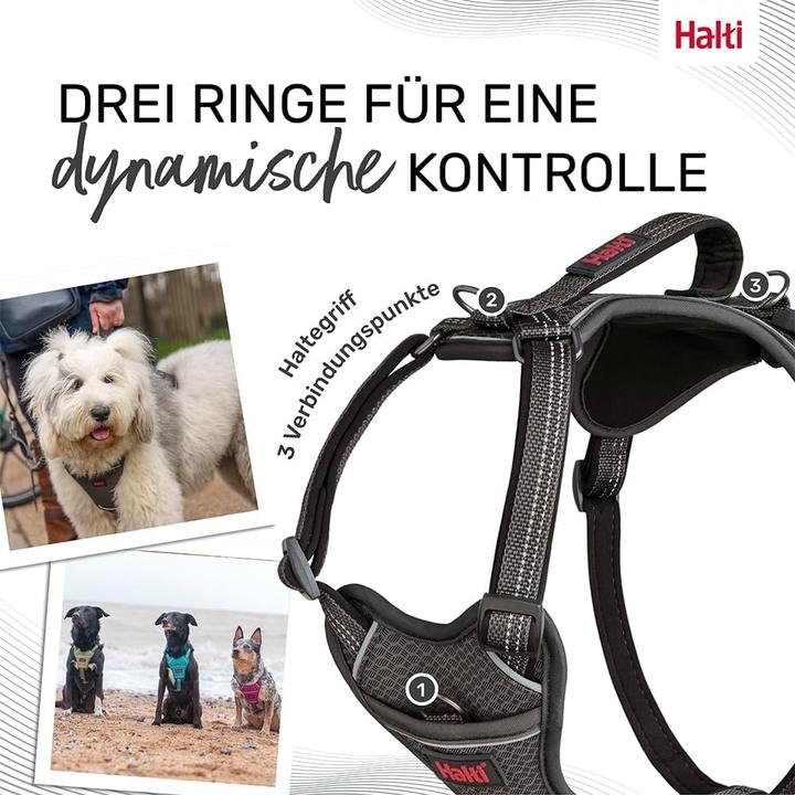 Actual product image Company of Animals Halti Anatomy XS dog harness (XS, Dog)