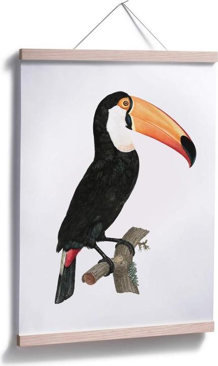 Produktbild Trenddeko Tukan auf einem Ast (40 x 50 cm)