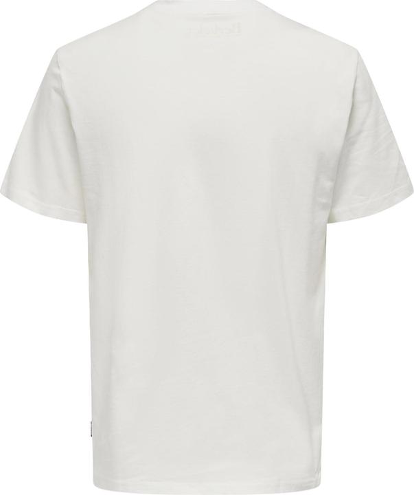 Actual product image Only & Sons Print T-Shirt (L)