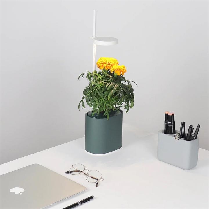 Immagine prodotto Prêt à Pousser Herb Pot Nano, verde foresta (13.50 cm)