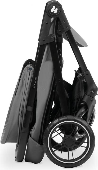 Actual product image Hauck Shop N Care