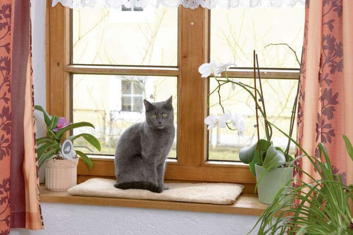 Actual product image Kerbl Window pillow 60x26x2cm, self-warming (Dog, Cat)