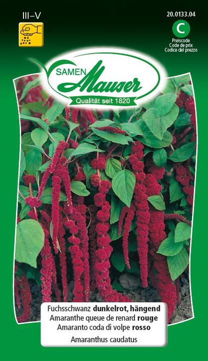 Produktbild Samen Mauser Fuchsschwanz dunkelrot hängend (Blumensamen)