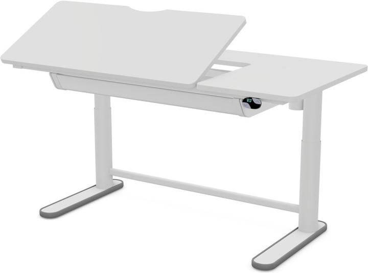 Immagine prodotto Lifetime Kidsrooms Scrivania Ergo Left-Up (120 x 60 x 89 cm)