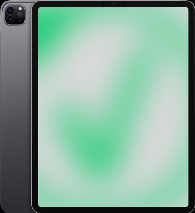 Image du produit Revendo iPad Pro 5. Gen (2021) (12.90", 256 Go, Space grey, B / Très bon)