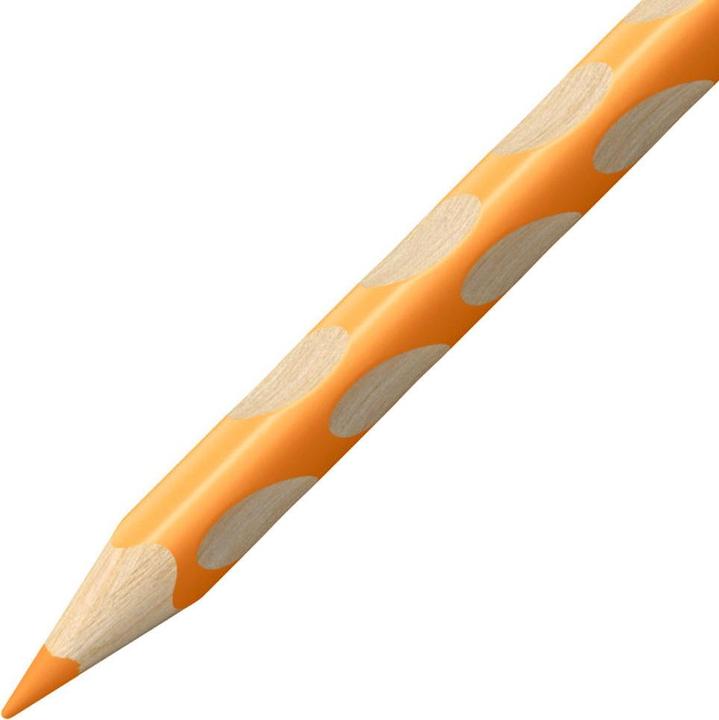 Image du produit STABILO Easycolors R, étui de 12 pièces (Multicolore, 12 x)