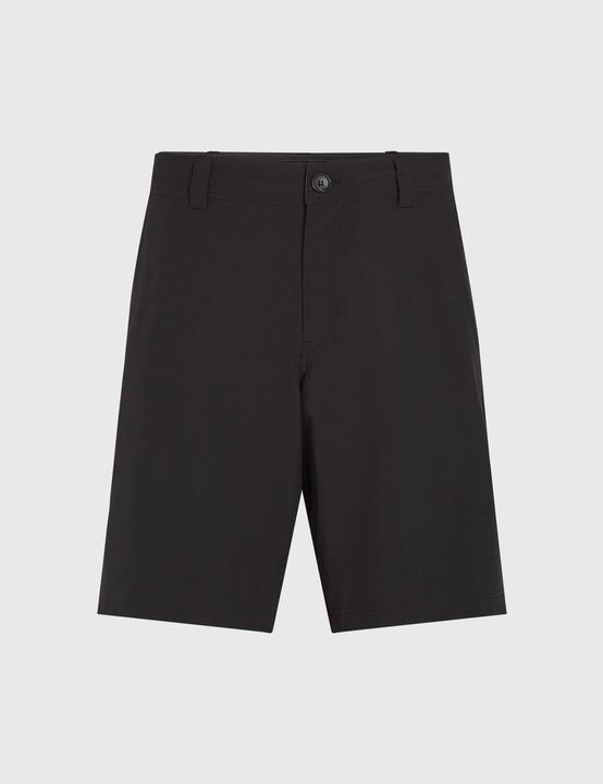 Actual product image O'Neill Hybrid Chino 19 Shorts (L)