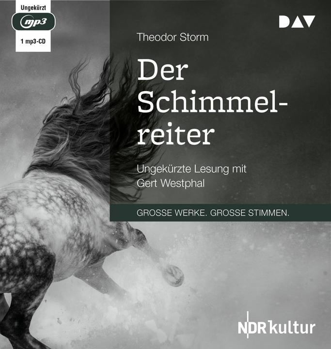 Image du produit Le cavalier du cheval blanc (Theodor Storm, Gert Westphal, Allemand)