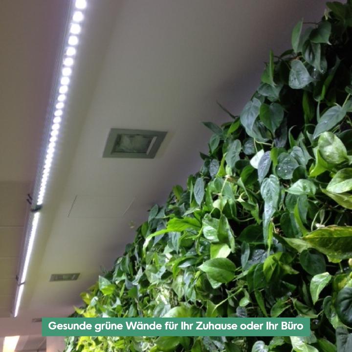 Actual product image Parus by Venso Wall Spot 60cm, beam angle 15 °, LED growth lamp, growth light for indoor plants and (LED, 245 V)