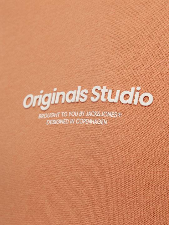 Actual product image Jack & Jones Hoodie (152)