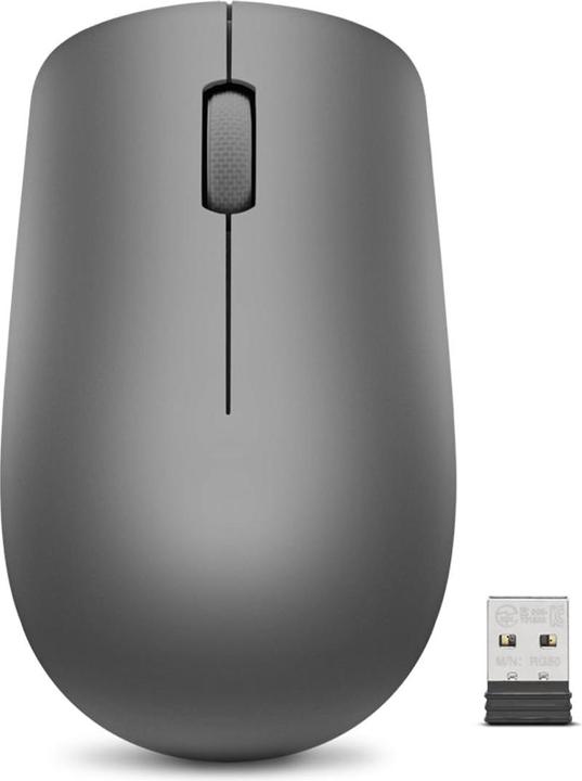 Lenovo 530 (Kabellos)