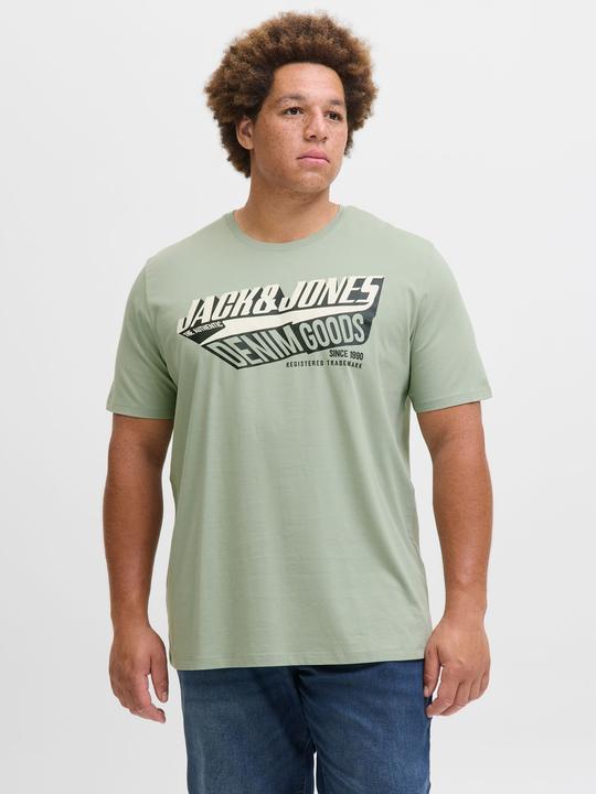 Actual product image Jack & Jones Jjelogo Tee Ss Oneck 2 Col Aw25 Noos Pls (6XL)