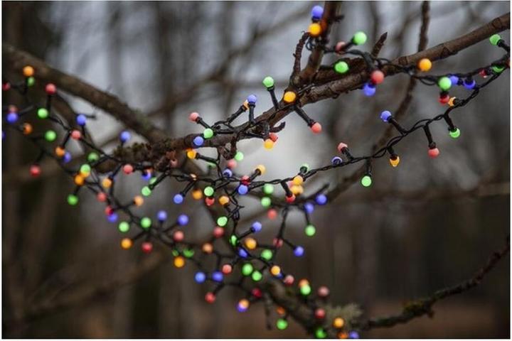 Actual product image Star Trading Light chain Berry Mini (14 m)