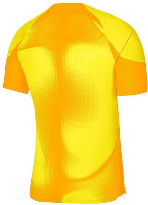 Image du produit Nike Maillot de gardien de but Gardien IV Homme (M)
