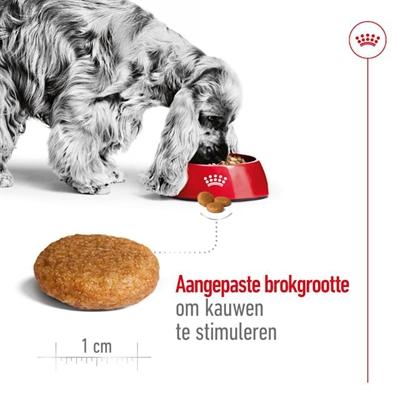 Image du produit Royal Canin Medium Adult - 4 Kg (Adulte, 4050 g)