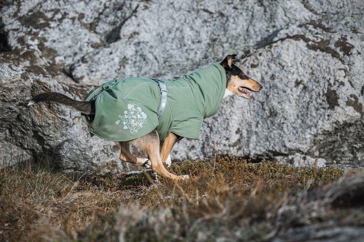 Image du produit Hurtta Extrêmement chaud (30, Manteau pour chien)
