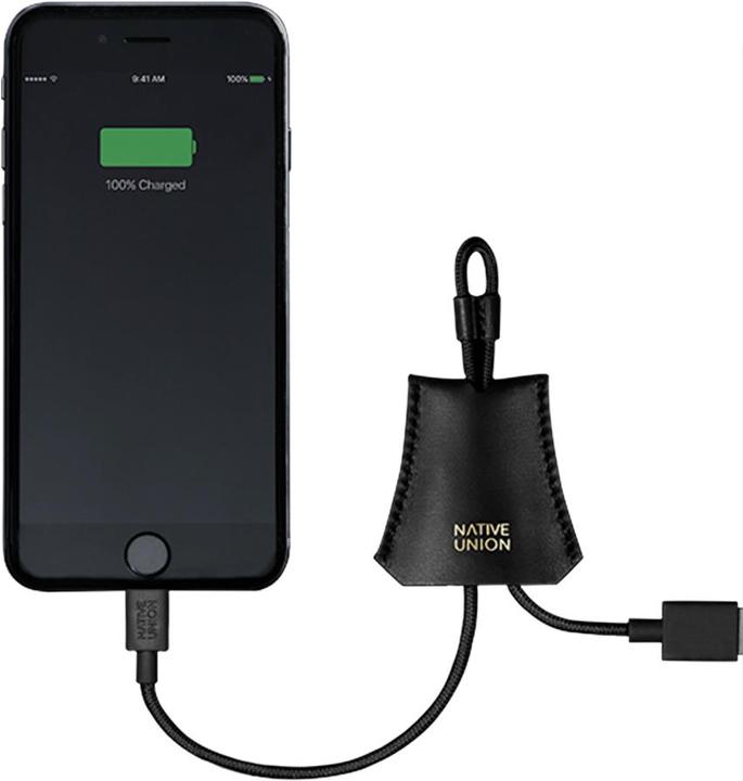 Native Union Giorno del cavo (0.10 m, USB 2.0)