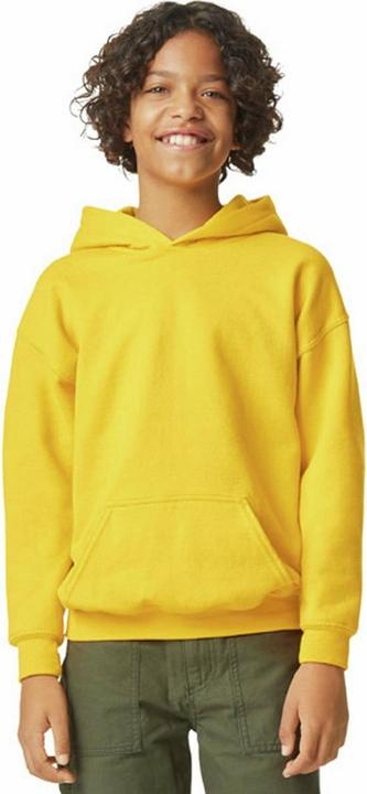 Actual product image Gildan Childrens/Kids Soft Touch Midweight Hoodie (XL)