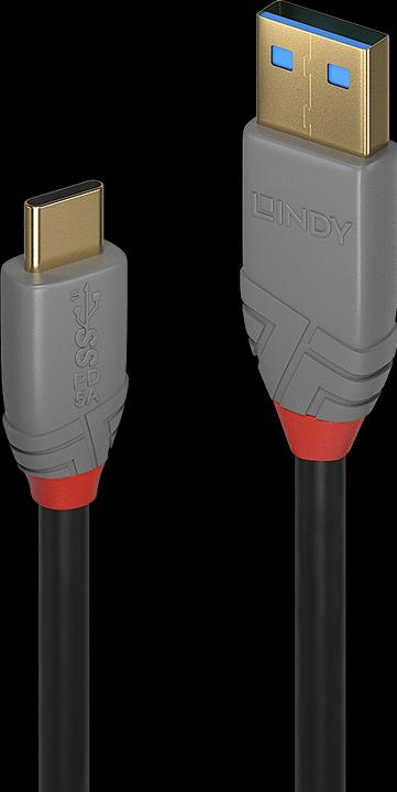 Lindy Anthra Line (1.50 m, USB 3.1)