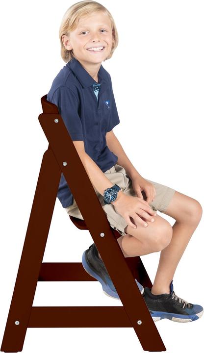 Immagine prodotto Roba Seggiolone per scale (Seggiolone)