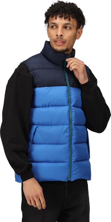 Actual product image Regatta Mens Vintage Colour Block Gilet (M)