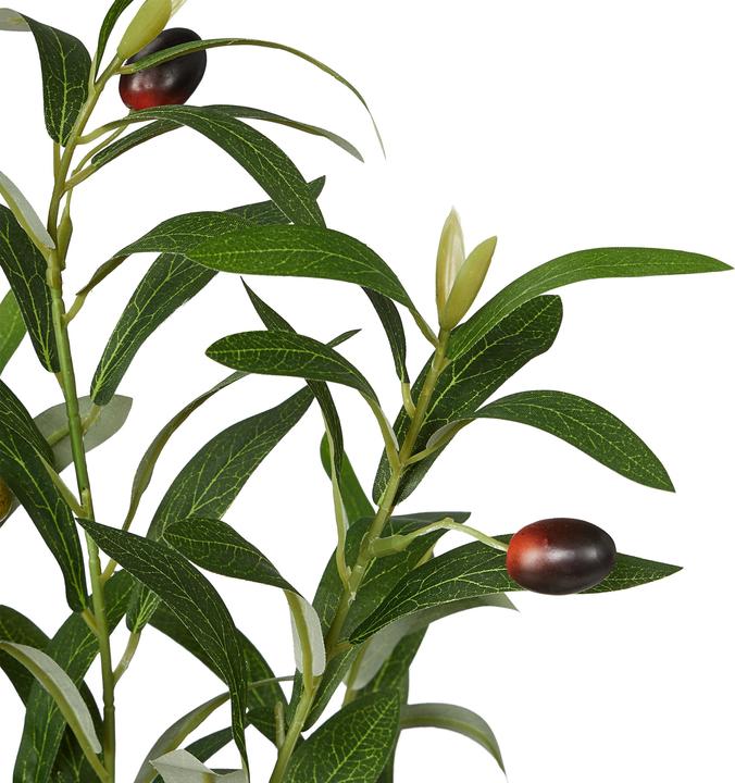 Produktbild Relaxdays Olivenbaum (150 cm)