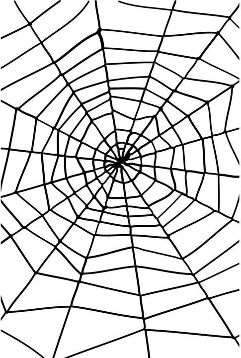 Smiffys Spinnennetz