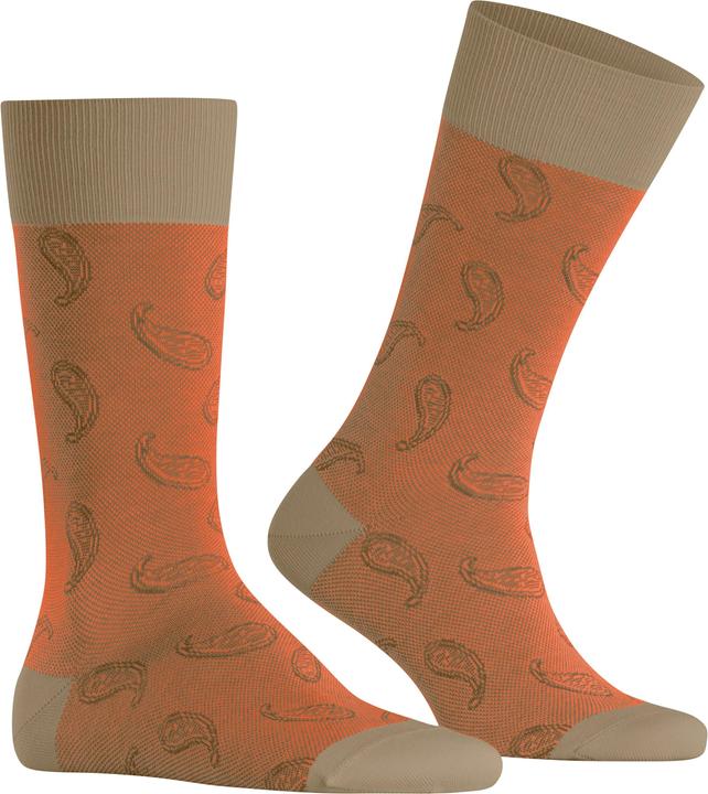 Immagine prodotto Burlington Paisley SO (40 - 46)