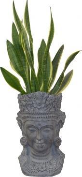 Produktbild Möbel Direkt Online Buddha-Kopf (26 cm)