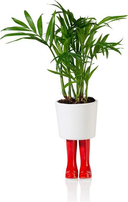 Actual product image Bitten Wellington Boot Planter Large (10 cm)