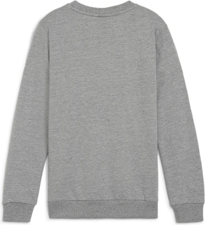 Actual product image Puma teamGOAL Casuals Crew Neck Sweat Jr (140)