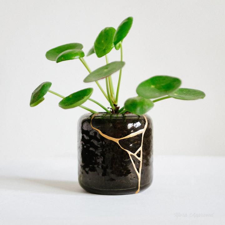 Image du produit Mora Approved Kit de réparation DIY Kintsugi