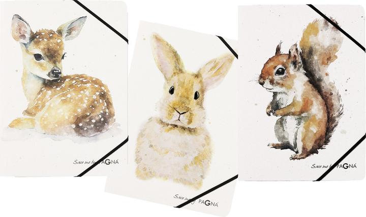 Actual product image Pagna Folder A4 Save me No.4 3pcs assorted (A4, 1 x)