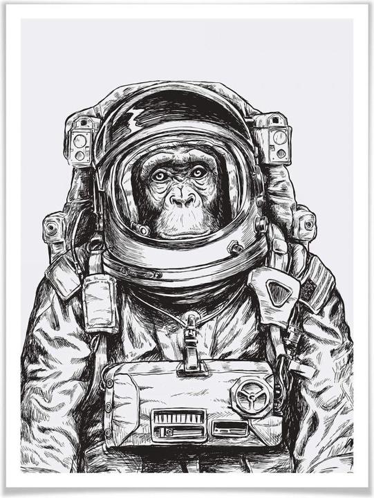 Actual product image Trenddeko Space Monkey (50 x 60 cm)