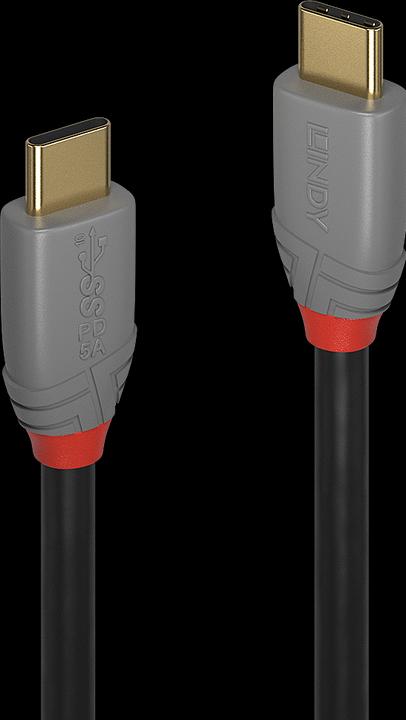 Actual product image Lindy Anthra Line (1 m, USB 3.1)