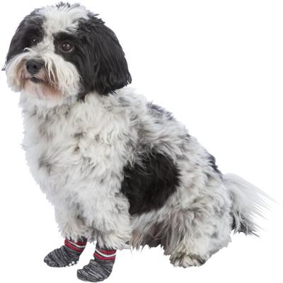 Image du produit Trixie Chaussettes pour chiens XL (XL, Chaussettes pour chien)