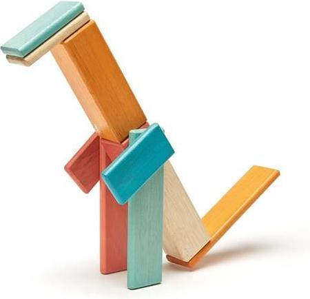 Actual product image Tegu Magnetic